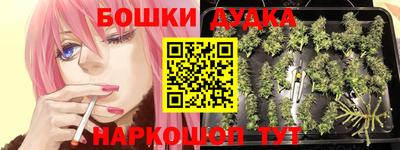 амф Шахты