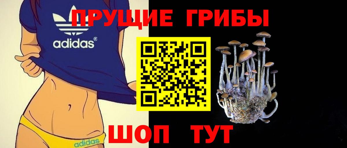 Галлюциногенные грибы GOLDEN TEACHER Ейск